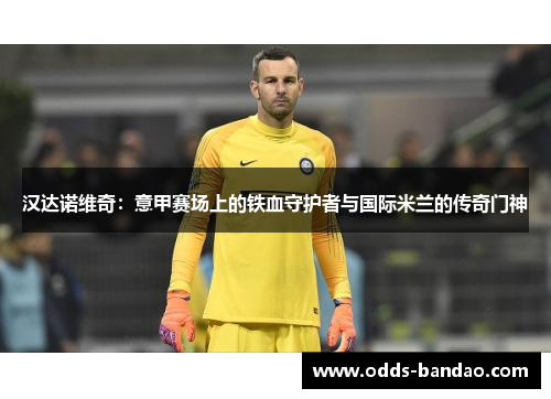 汉达诺维奇：意甲赛场上的铁血守护者与国际米兰的传奇门神