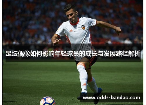 足坛偶像如何影响年轻球员的成长与发展路径解析