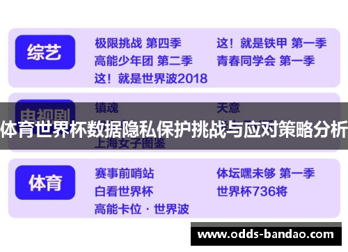 体育世界杯数据隐私保护挑战与应对策略分析