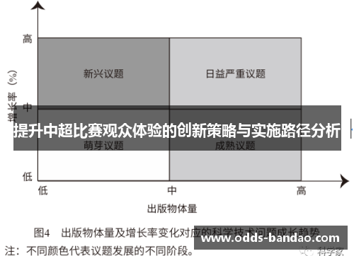 提升中超比赛观众体验的创新策略与实施路径分析