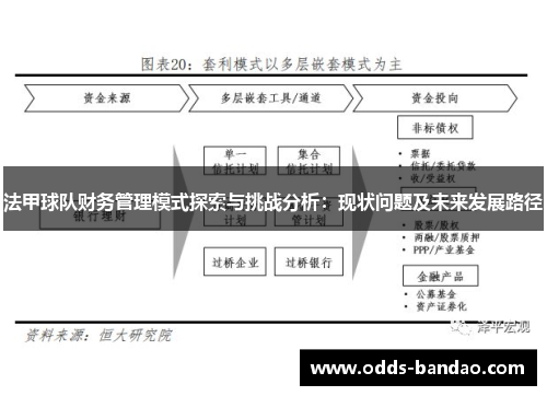 法甲球队财务管理模式探索与挑战分析：现状问题及未来发展路径