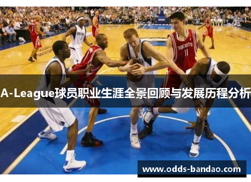 A-League球员职业生涯全景回顾与发展历程分析