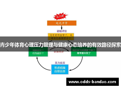 青少年体育心理压力管理与健康心态培养的有效路径探索