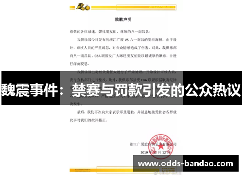 魏震事件：禁赛与罚款引发的公众热议