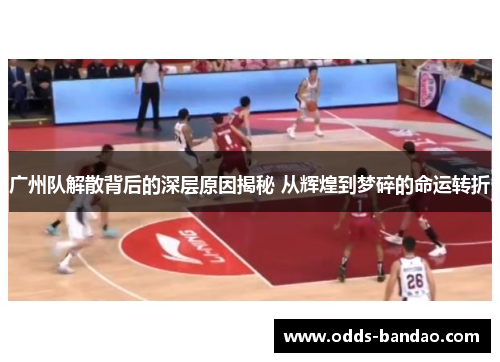 广州队解散背后的深层原因揭秘 从辉煌到梦碎的命运转折