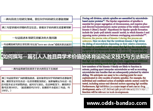 如何撰写一篇引人入胜且具学术价值的体育运动论文技巧与方法解析