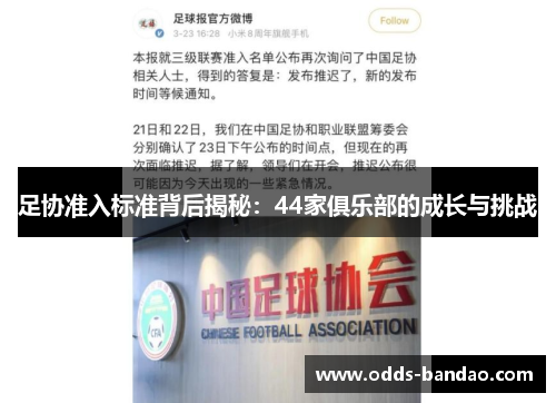 足协准入标准背后揭秘：44家俱乐部的成长与挑战