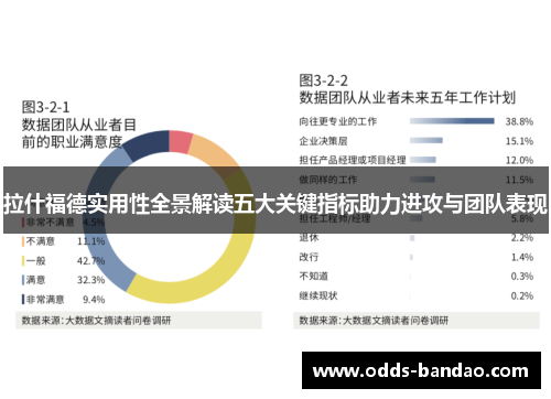 拉什福德实用性全景解读五大关键指标助力进攻与团队表现